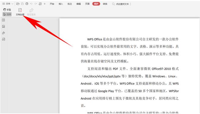 WPS表格新手教程-智能汇总 自动分类汇总