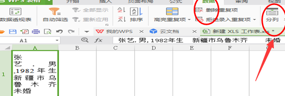 如何把WPS文字里的内容分列插入到 WP