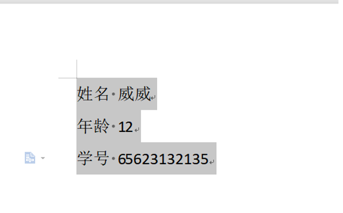 Word中如何使用制表位