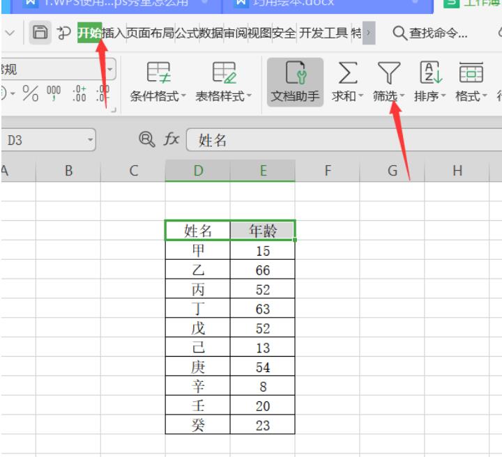 WPS 中如何使用筛选器进行筛选分类