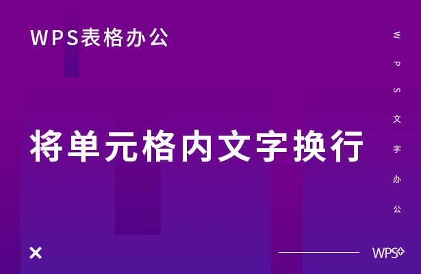 WPS表格办公---将单元格内文字换行