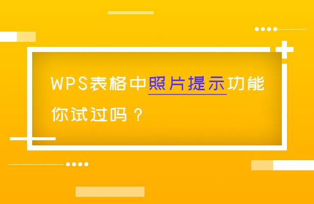 WPS 表格技巧—WPS表格中的照片提示