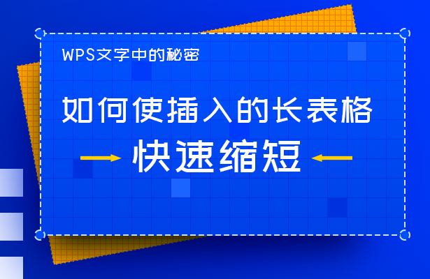 WPS文字技巧—如何使插入的长表格快速缩