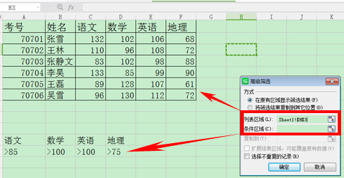 WPS表格如何运用筛选与高级筛选