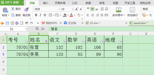 WPS表格如何运用筛选与高级筛选