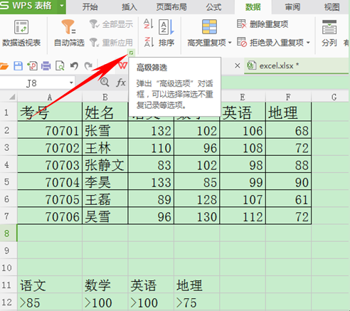 WPS表格如何运用筛选与高级筛选