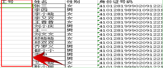 WPS表格中开头的0输入后不显示怎么办