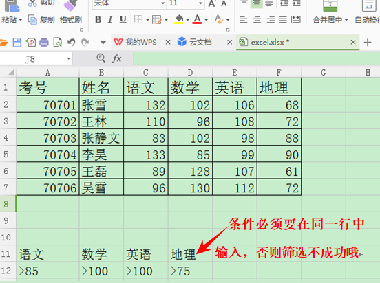 WPS表格如何运用高级筛选